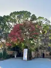 伊勢山皇大神宮(神奈川県)