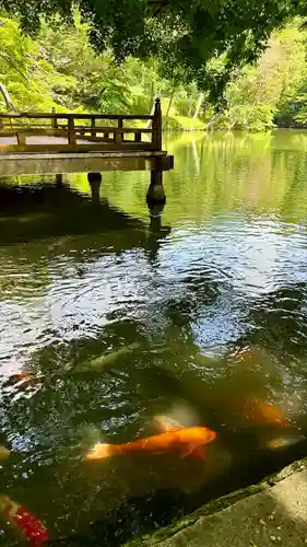 高鴨神社(奈良県)