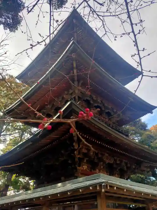 椎尾山薬王院(茨城県)