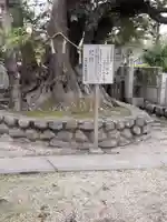 高田寺(愛知県)