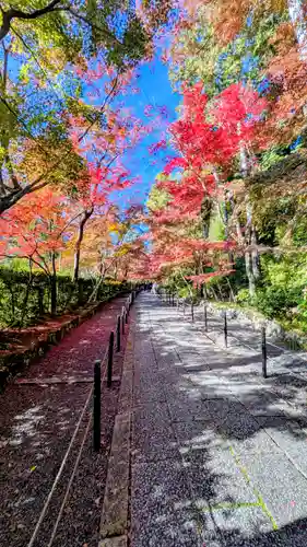 光明寺（粟生光明寺）(京都府)