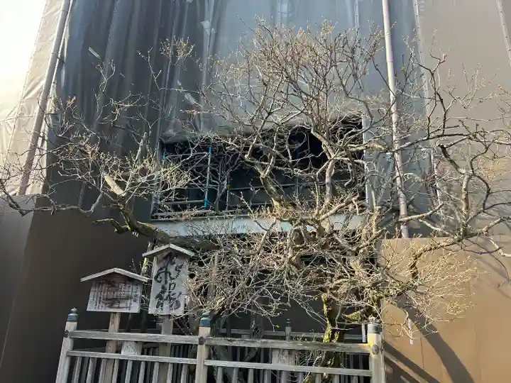 太宰府天満宮の自然