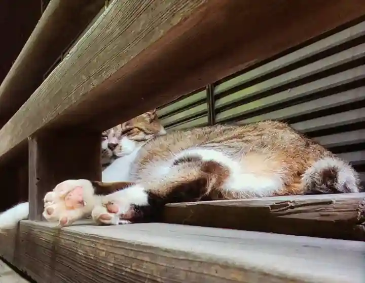 荻窪白山神社(東京都)
