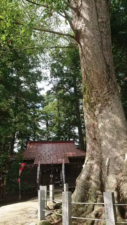 向田神社の本殿・本堂