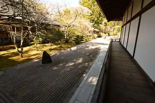 高野山金剛峯寺(和歌山県)