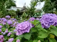 白山神社の自然