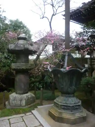 安國論寺（安国論寺）の塔