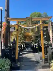 亀ケ池八幡宮の鳥居