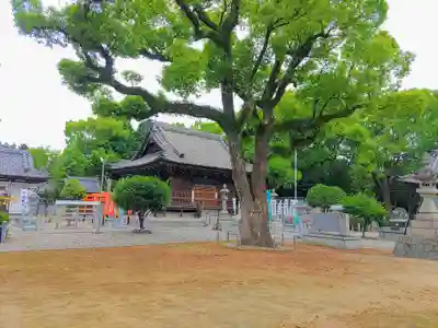 天満宮(楠村町)のその他建物