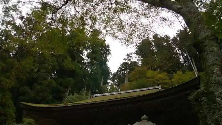 比叡山延暦寺の本殿・本堂