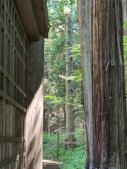 諏訪大社下社春宮(長野県)