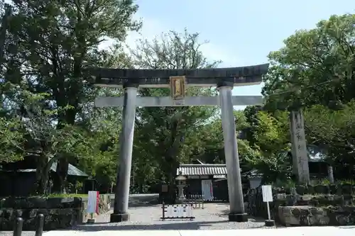 闘鶏神社の鳥居