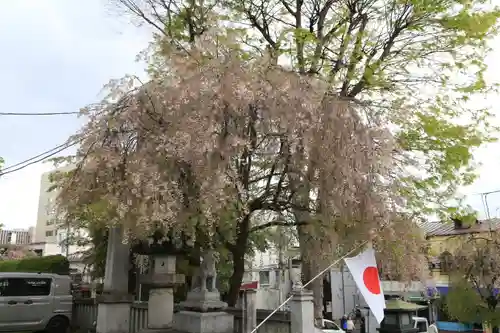 櫻山神社の景色