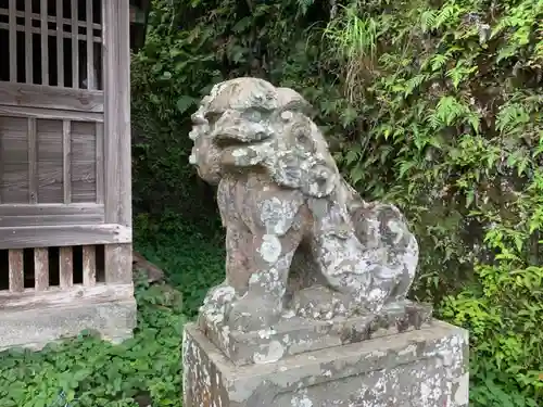 白幡神社の狛犬