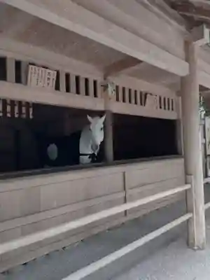 伊勢神宮外宮（豊受大神宮）(三重県)