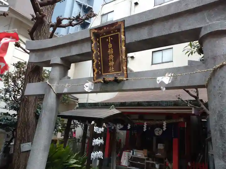 讃岐小白稲荷神社の鳥居