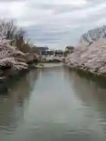 平安神宮の周辺