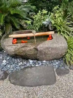 観音寺の手水舎