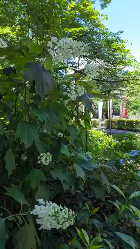本法寺(京都府)