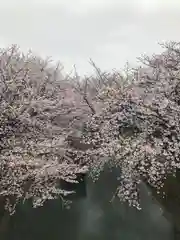 長建寺の自然