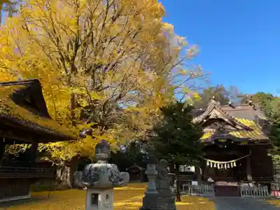 玉敷神社(埼玉県)
