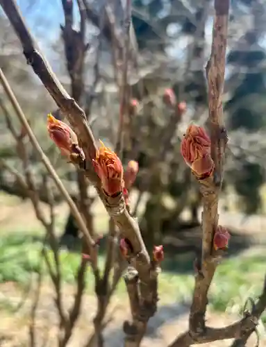 蚊里田八幡宮(長野県)