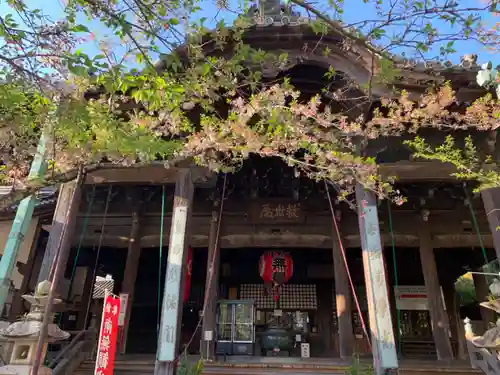 金剛宝寺（紀三井寺）の本殿・本堂