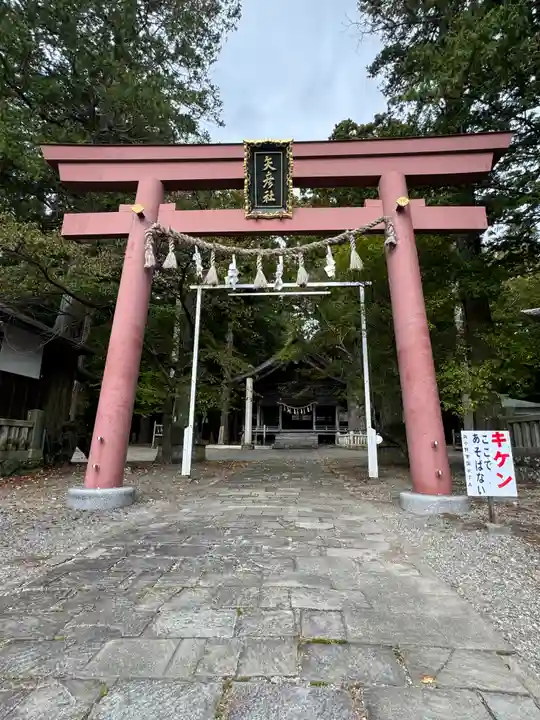 矢彦神社(長野県)