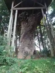 中氷川神社(埼玉県)