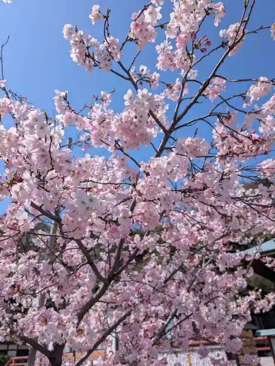 本牧神社(神奈川県)