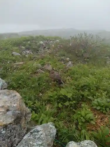 雄山神社峰本社の動物