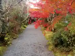 常照寺(京都府)