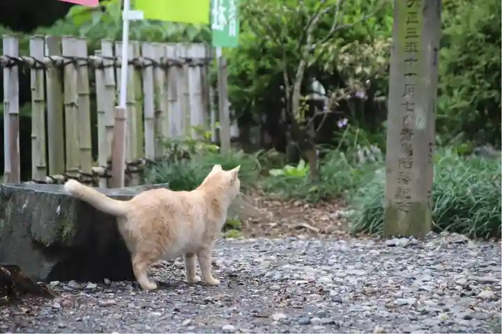 唐澤山神社(栃木県)