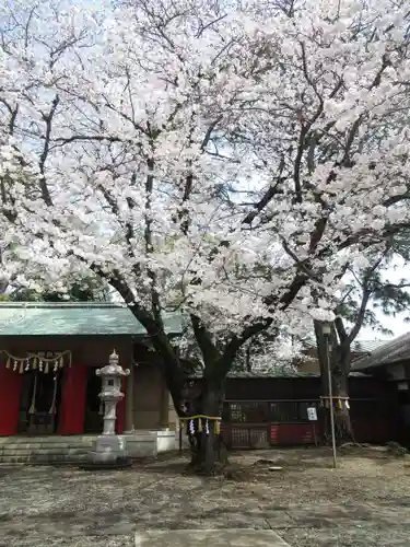 前原御嶽神社の自然