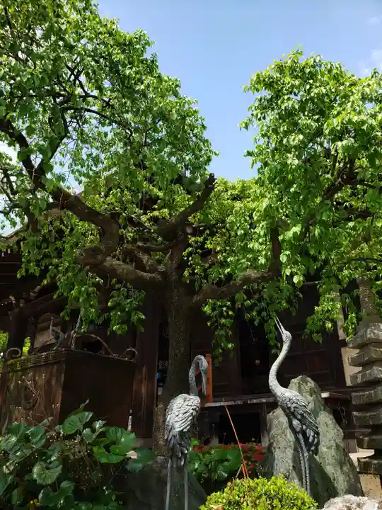 高徳寺(東京都)