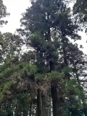 大宮温泉神社(栃木県)