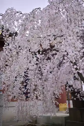 千住神社(東京都)