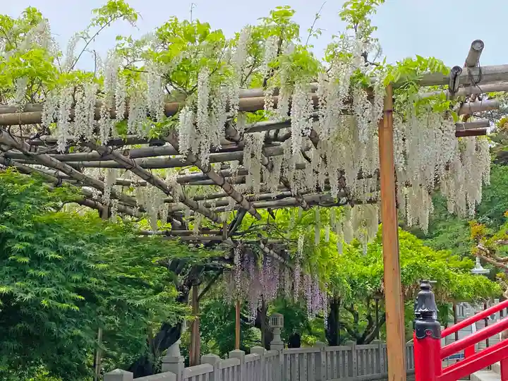 観音山慈眼院(高崎観音)の自然