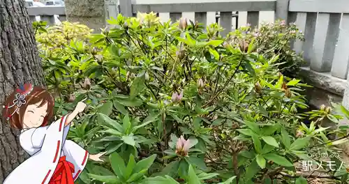 三谷稲荷神社の自然