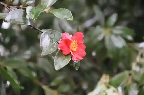 神炊館神社 ⁂奥州須賀川総鎮守⁂の自然
