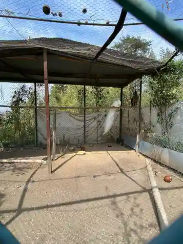 進雄神社の動物