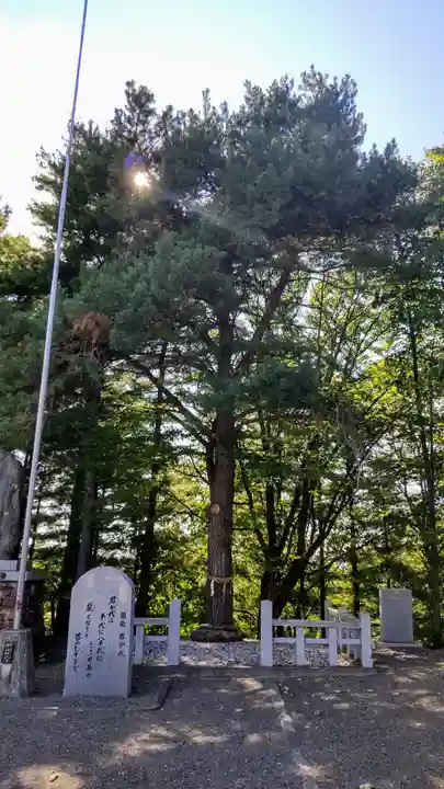 當麻神社の自然