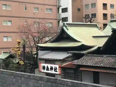 柳森神社の本殿・本堂