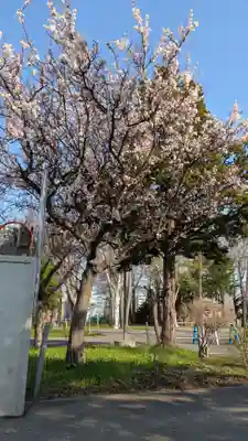 新琴似神社(北海道)