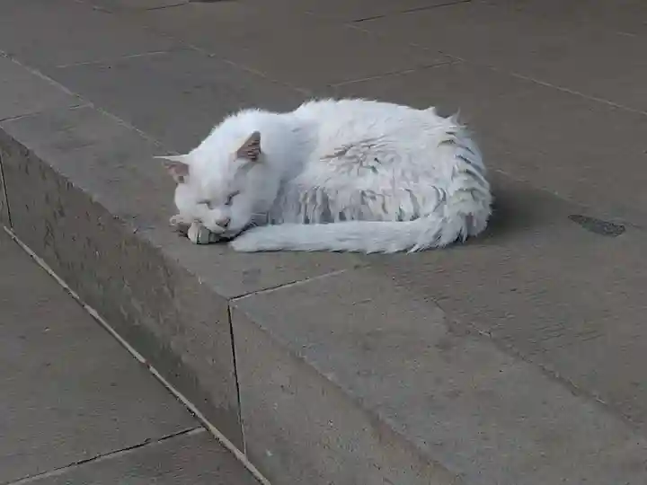 愛宕神社(東京都)