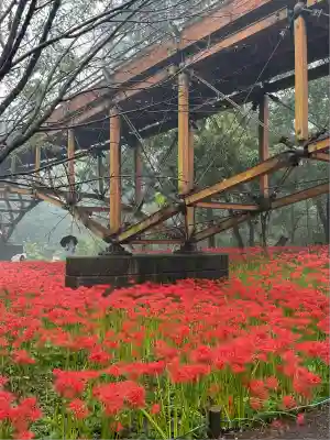 高麗神社(埼玉県)