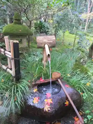 祇王寺(京都府)