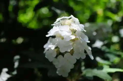 浄土寺(兵庫県)