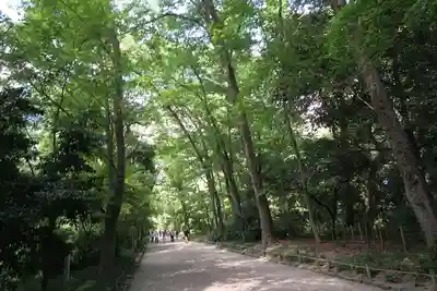賀茂御祖神社（下鴨神社）(京都府)