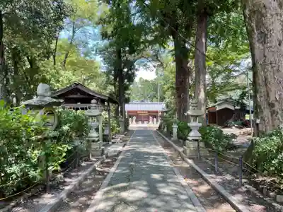 新宮八幡神社(兵庫県)